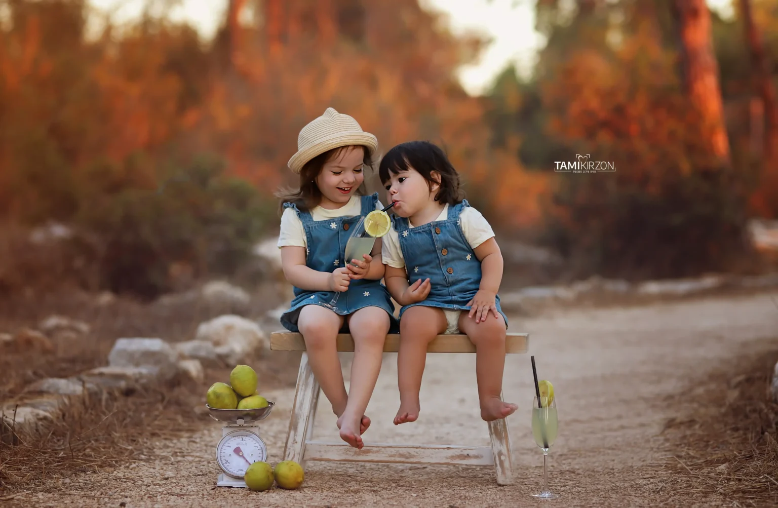 צילומי משפחה · תמי קירזון