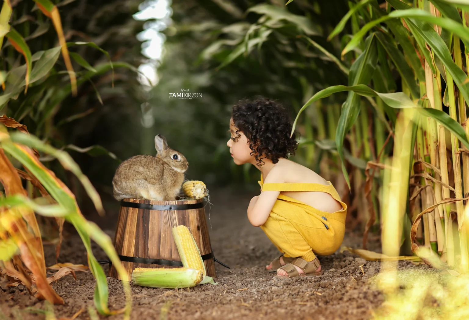 צילומי גיל שלוש · תמי קירזון