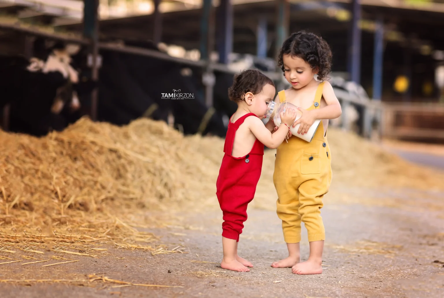צילומי גיל שלוש · תמי קירזון