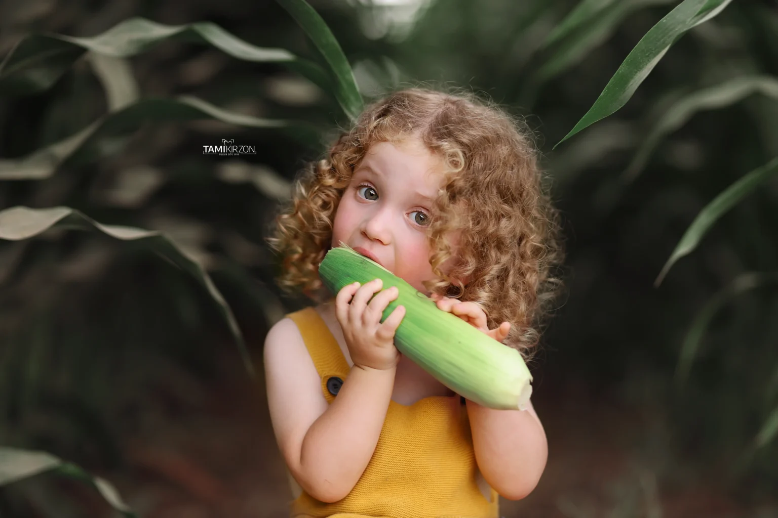 צילומי גיל שלוש · תמי קירזון